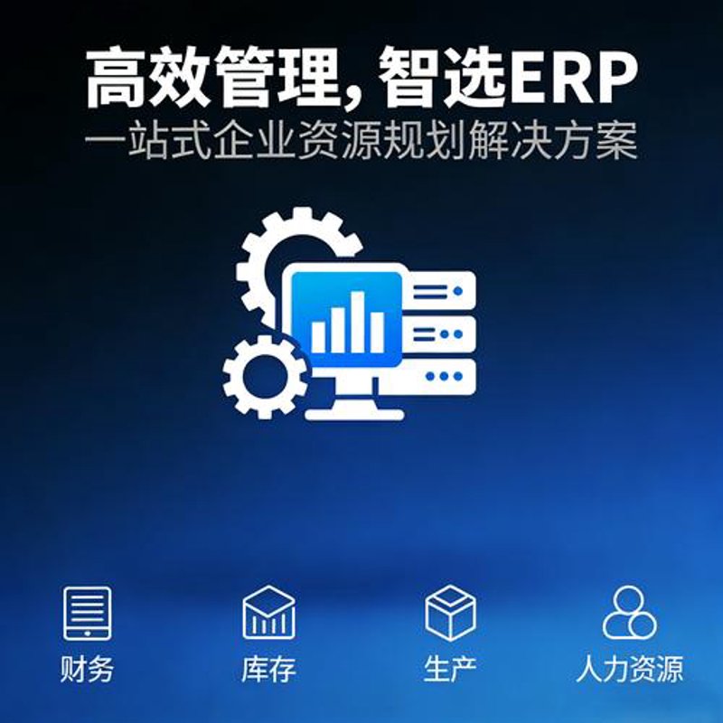 企业管理系统定制：打造高效管理利器